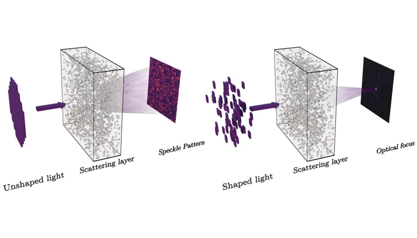 Full-wave simulation of focusing light through scattering layers using ...